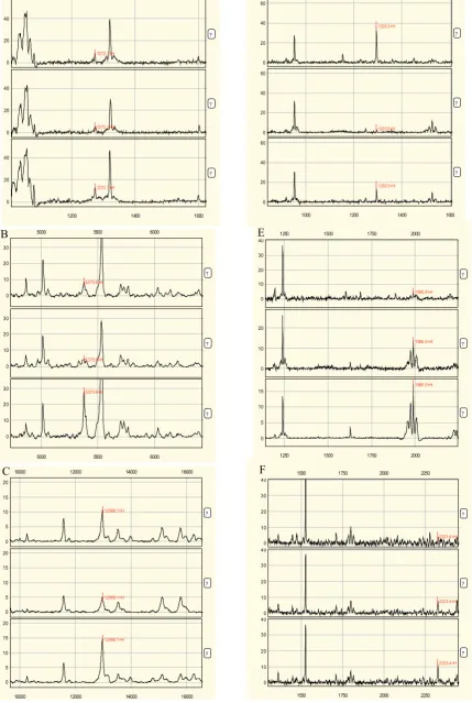 Fig. 4. Representative overview of protein profiling of serum from the heart transplanted rats