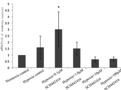 Fig. 2. The mRNA expression of Kir 2.1 channels of Müller cells cultured with SCH 442416 0.1, 1, 10 and100 µM)