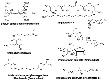 Figure 1: Structural representatives of approved and marketed available drugs. 
