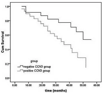 Fig. 3. overall survival curves for 53 patients with cer-vical cancer and different expression profiles of CCN3  A comparison of Kaplan-Meier survival curves in cer-vical cancer patients with negative and positive stain-ing of CCN3 showed a highly significant difference (P = 0.021) by log rank test