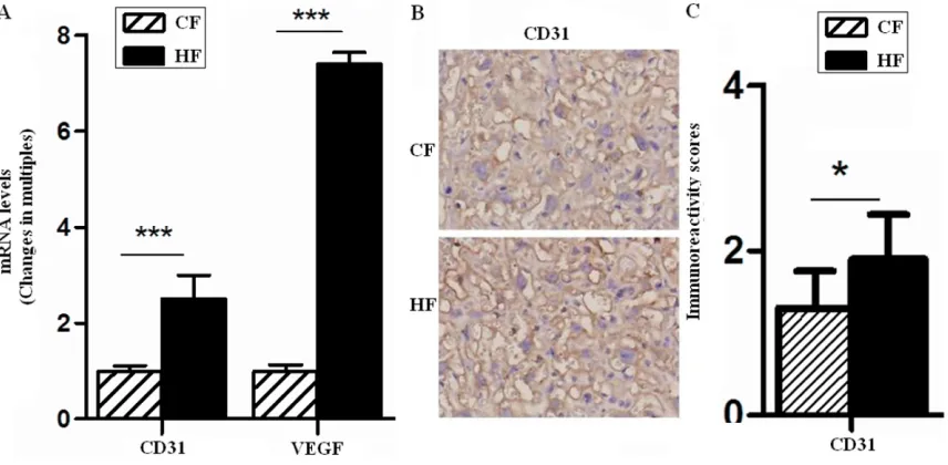 Figure 3. Vascular development is altered in the placentas of GDM.  The mRNA levels of VEGF and CD31 and protein level of CD31 in placentas of GD18.5 were analyzed by quantitative real-time PCR (A) and immunohistochemistry (B and C), respectively