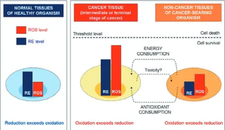 Fig. 4. The balance between reactive oxygen species (ROS) and reducing equivalents (RE) in normal and cancer cells (according to Zhelev et al
