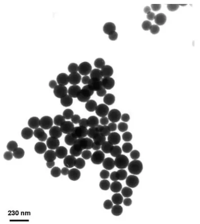 Fig. 1. TEM micrographs of silica particles obtained by the sol-gel method