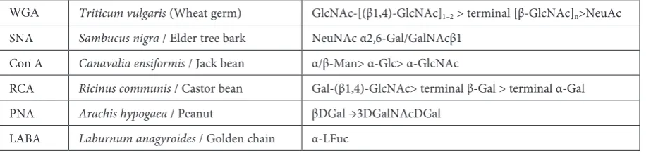Table 1. Panel of lectins used, their sources and specificitiesTabela 1. Lista wykorzystanych lektyn, ich źródła i specyfika