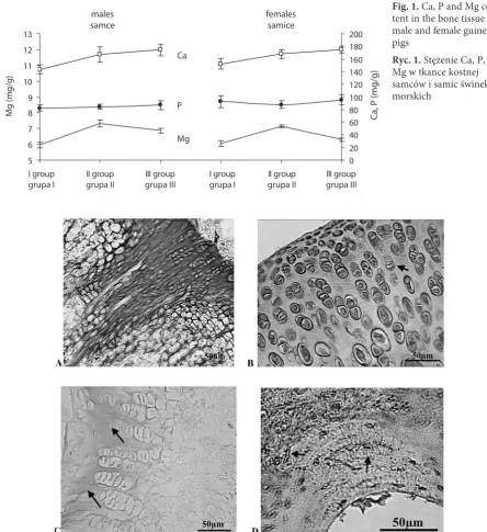 Fig. 1. Са, Р and Mg con-tent in the bone tissue of 