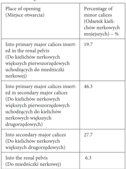 Table 4. Distribution (%) of minor calices inserted in particular structures of the pelvi-caliceal collecting system in swine