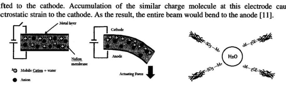 Figure 1: IPMC Actuation Mechanism 