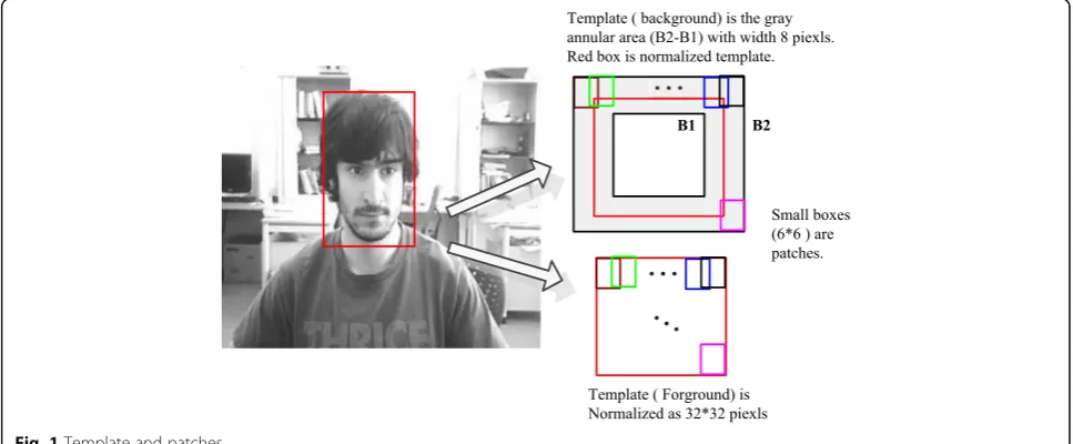 Fig. 1 Template and patches