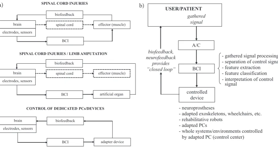 Fig. 2. Milestones in the history of brain-computer interfaces (BCIs) and neuroprostheses [4, 5]