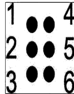 Figure 2.2: Braille Cell (Al-Sharnma & Sami, 201 0). 