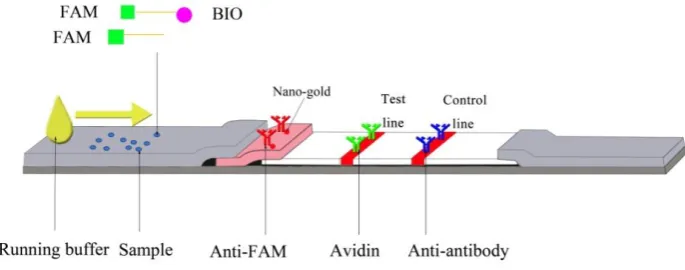 Figure 3. Schematic diagram of LFD detection. 