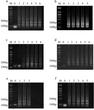 Figure 4. Optimization of LAMP reaction parameters. Lane M：DNA ladder; lane 0: Negative control; a