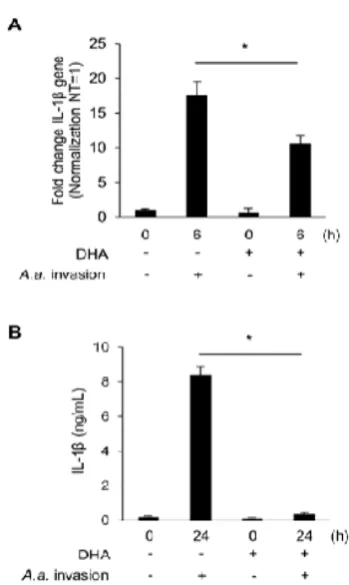 Fig 1. DHA reduced expression and secretion of IL-1β in A.actinomycetemcomitans-invaded macrophages