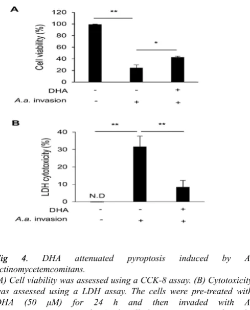 Fig 4. 