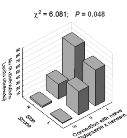 Table 2. Percentage of observations diverse in respect of median nerve roots combination height in side subgroups, comparison result