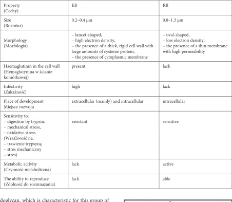 Table 2. The main differences between elementary and reticulate body [7]Tabela 2. Główne różnice między ciałkiem elementarnym a siateczkowatym [7]