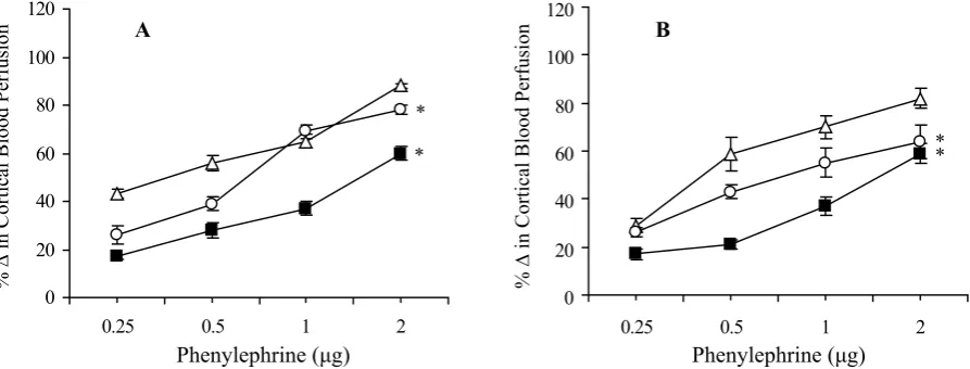 Fig. 1. Noradrenalin induced renal cortical vasoconstrictor responses in SHR with high (A) and normal (B) sodium intake in the presence and absence of 5-methylurapidil ( Saline,  low dose and  high dose)