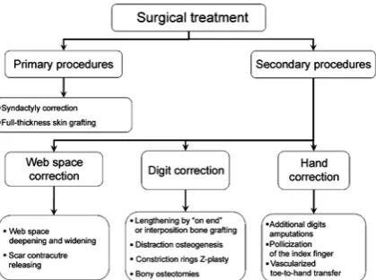 Fig. 4. Algorithm of the surgical treatment of hand anomalies 
