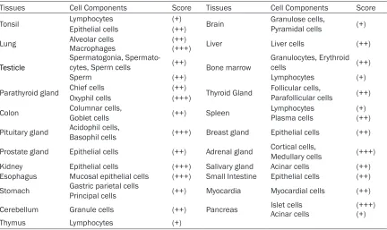 Table 1. URI/RMP expression in cytoplasms of major cell type in normal human tissues