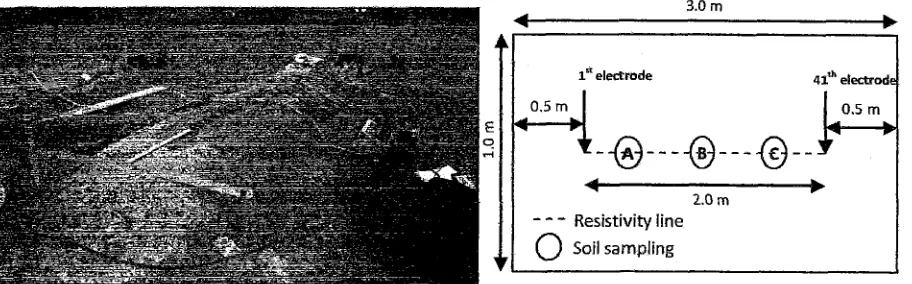 Fig.2 Global 2D electrical resistivity tomography section and localize selected point (A, B and C) of ERV used for further detail study at soil model using Dipole-dipole array 