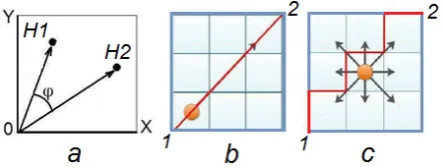 Figure 2.  Content of an image in two modes; top in a colored image and bottom in a grey-level image 