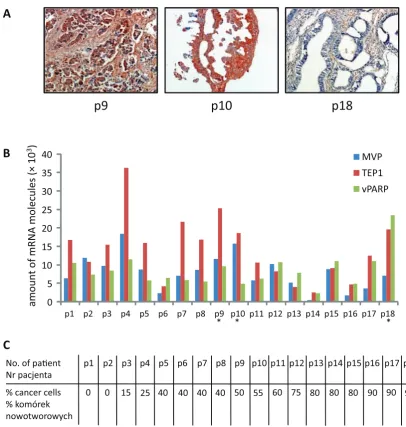 Fig. 2. Quantification of the levels of expression of MVP, TEP1 and vPARP, and assessment of the number of cancer-ous cells in the surgical specimens used in the study