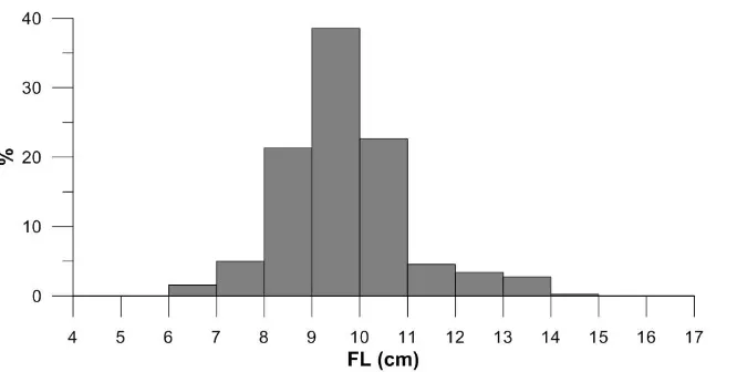 Figure 2. Size distribution of E. encrasicolus in the study
