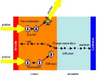 Figure 1.1: Cross section structure of basic OSC