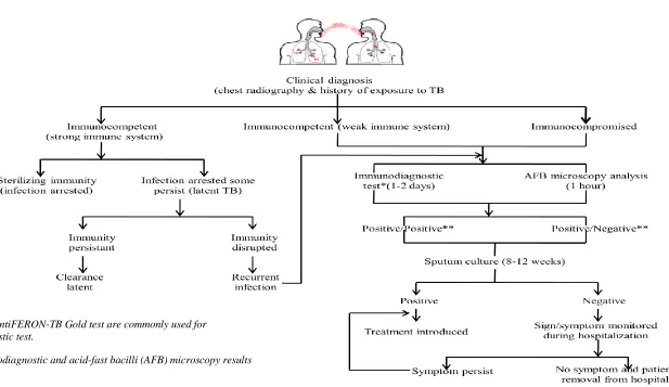Figure 1.4: The flow-chart shows natural cause progression of tuberculosis and general plan-of-detection in immunocompetent and 