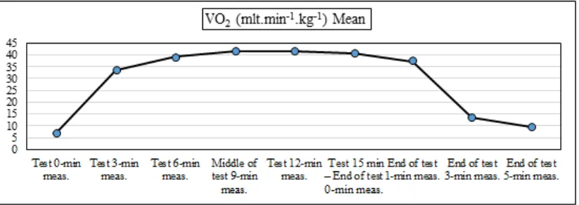 Figure 3.  VO2 values during the SKPT. 