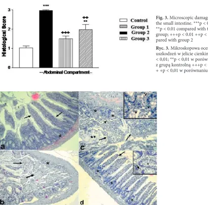Fig. 3. Microscopic damage scores in **p < 0.01 compared with the control group; +++p < 0.01 ++p < 0.01 com-the small intestine