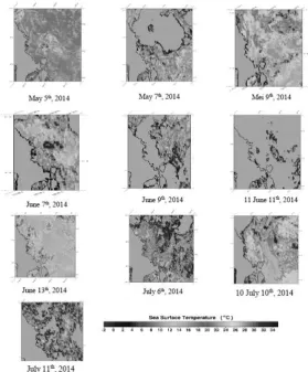 Table 1. Materials which were used in this research were (Table 1) among others 