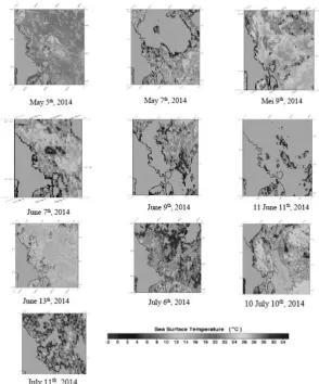 Figure 2. Spasial and temporal pattern of Sea Surface Temperature in Northwest of Banda Sea