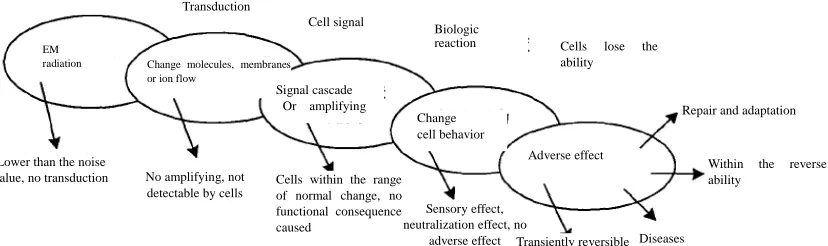 Fig.1 Chain effect of EM exposure on living organisms 
