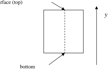 Figure 1. 1D model of porous medium with cortex  