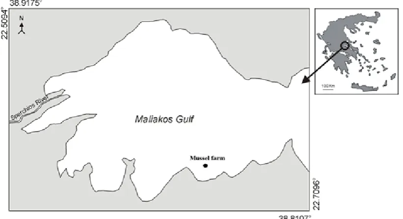 Figure 1.  Map of the farm site area in Maliakos Gulf, East Central Greece, (Aegean Sea, NE Mediterranean), where the field in situ experimental trials were carried out.- 