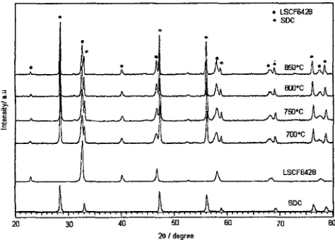 Fig. 1. TEM micrographs of (a) SDCC electrolyte and (b) NiO-SDCC anode powders calcined at 680 "C