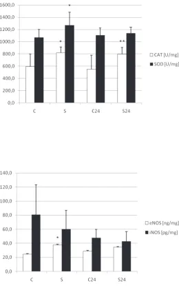 Fig. 1. Influence of SV and “cold” ischemia on SOD and CAT activities. Significant differences between groups are indicated with asterisks