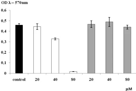 Fig. 2. Effect of IM and DM-11 (20, 40, and 80 the viability of A 375 melanoma cells, white bars – IM compound, gray bars – DM-11 compound, µM) on ± SD (n = 3)