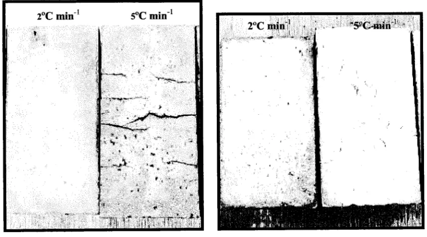 Fig. 2 CB bricks fred at 2°C minminl and 5°C heating rates 