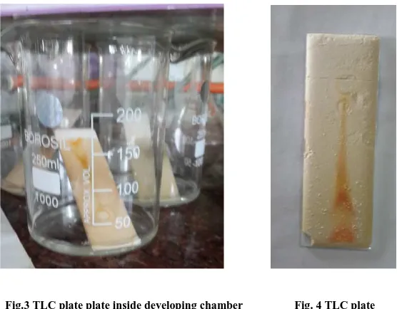 Table 2: Results of Thin layer chromatography  