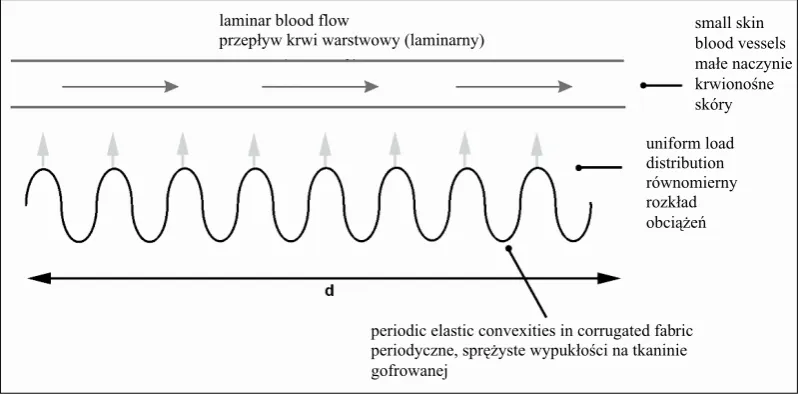 Fig. 2. The layout of the measuring electrodes on the patient’s body surface during an examination