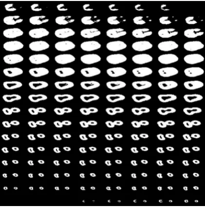 Fig. 1. 2D cross-sections of the tooth as a result of visualization in program 3D Segmentation: a – before binarization, b – after binarization