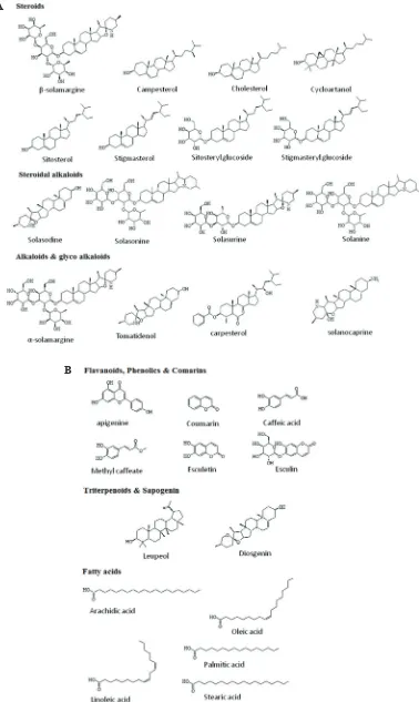 Figure 2. (A) Steroids, steroidal alkaloids, alkaloids, and glycoalkaloids phytochemical compounds structures isolated from Solanum surattense