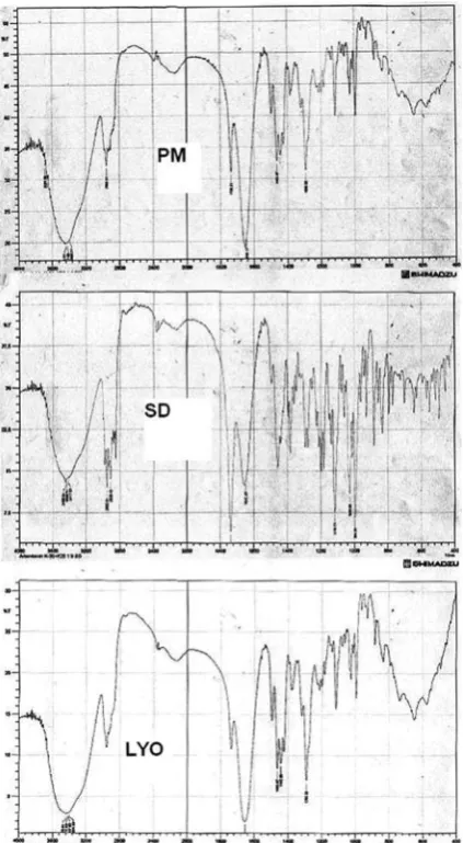 Fig. 5. FTIR spectra of a physical mixture (PM), solid dispersion (SD) and lyophilized solid dispersion (LYO) of ARMN-PVP K25 and K30 at a 1 : 9 ratio