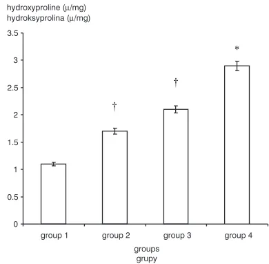 Fig. 1. Mean anastomotic bursting pressure in groups.* p < 0.05 compared with groups 1, 2, and 3, † p < 0.05compared with group 1 