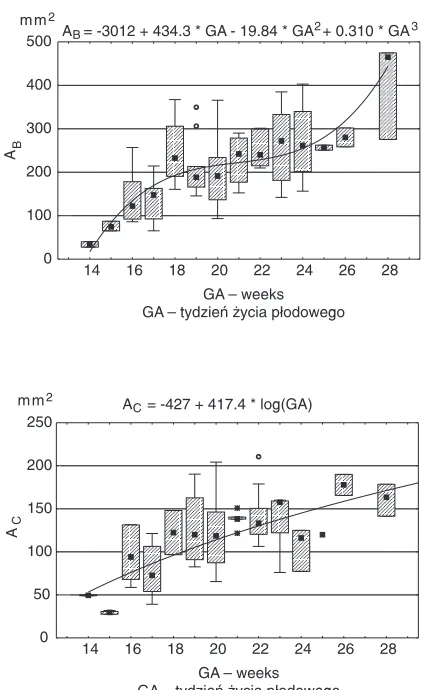 Fig. 6. Correlation diagram and change model of thescapular height−length coefficient with fetal age