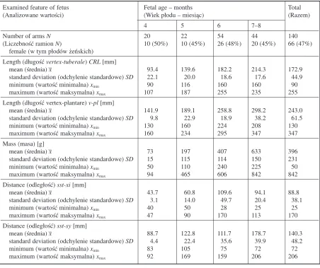 Fig. 9. Comparison of lWB/lAB ratios in fetuses andadults (difference statistically significant)