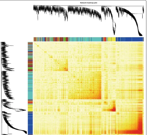 Fig. 5 a, b Network heatmap plot. Branch in the hierarchical clustering dendrograms correspond to each module