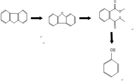 Fig. 4. Proposed pathway of fluorene metabolism by USTB-C  